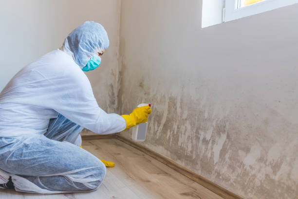Crawl Space Mold Remediation treatment of floor joists in Marshall
