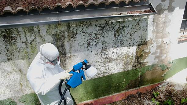 Mold Remediation service in Marshall, Marshall, VA